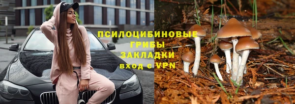 твердый Баксан